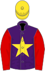 Purple, yellow star, red sleeves, yellow cap