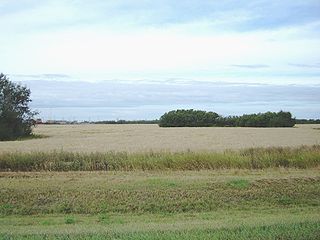 <span class="mw-page-title-main">Agriculture in Saskatchewan</span> Agriculture of the Province Saskatchewan in Canada