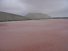 Les salins du midi - Camargue.