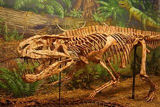 <span class="mw-page-title-main">Rauisuchidae</span> Extinct family of reptiles