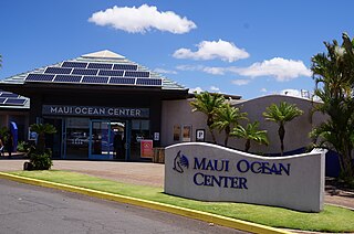 <span class="mw-page-title-main">Maui Ocean Center</span> Aquarium and oceanography center in Maalaea, Hawaii, United States