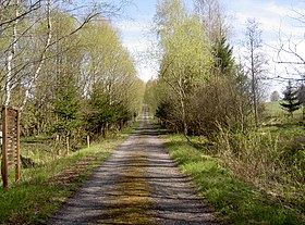 Radweg 36 bei Dolní Huť (deutsch: Unterhütten)