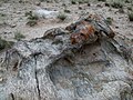 Boulder of gneiss eroded by the wind in the Qilian mountains, China