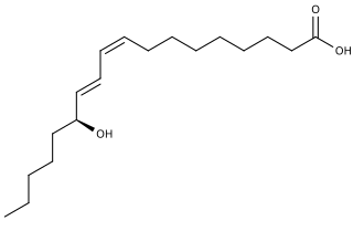 <span class="mw-page-title-main">13-Hydroxyoctadecadienoic acid</span> Chemical compound