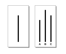 Représentation schématique de l'expérience de Solomon Asch où des segments sont comparés par les sujets