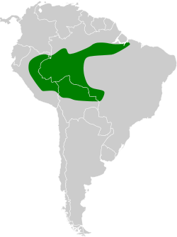 Distribución geográfica del atila ojiblanco.