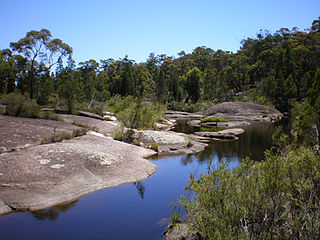 <span class="mw-page-title-main">Boonoo Boonoo River</span> River in New South Wales, Australia