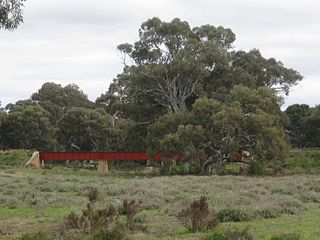 <span class="mw-page-title-main">Sedan railway line</span> Railway line in Australia