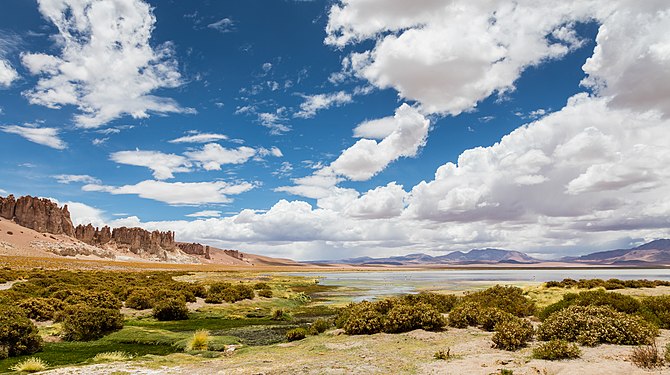 Tara salt flat, Chile.