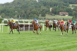 Hipódromo de Deauville-Clairefontaine