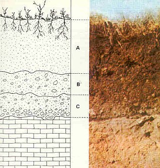 <span class="mw-page-title-main">Saprolite</span> Chemically weathered rock