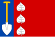 Vlag