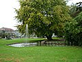 Brunnen im Stadtgarten