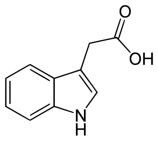 <span class="mw-page-title-main">Auxin</span> Plant hormone