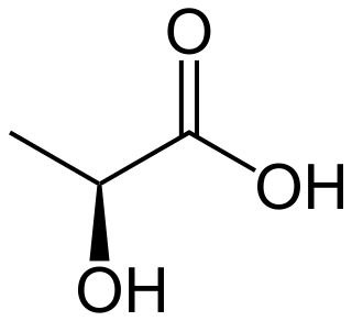 <span class="mw-page-title-main">Lactic acid fermentation</span> Series of interconnected biochemical reactions