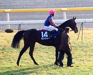 Montjeu Irish-bred Thoroughbred racehorse