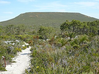 <span class="mw-page-title-main">Lesueur National Park</span> Protected area in Western Australia