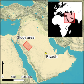 المستطيلات (آثار)