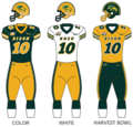 Thumbnail for North Dakota State Bison football