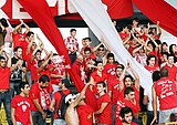 Nea Salamina Famagusta FC fans at Tsirion Stadium in a game against Aris Limassol F.C. in season 2010–11.