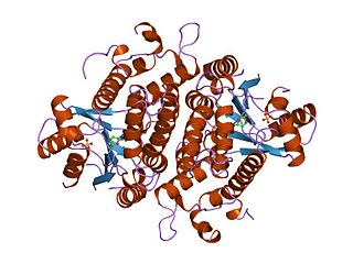 <span class="mw-page-title-main">Thymidine kinase from herpesvirus</span>