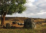 Large stone jars under a tree