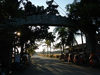 <span class="mw-page-title-main">Santo Tomas, La Union</span> Municipality in La Union, Philippines