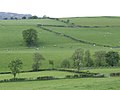 Lente in Wales, een foto van Jonathan Billinger (Geograph.org.uk) genomen bij Gwyddelwern