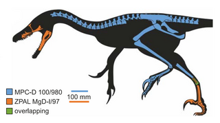 <i>Shri devi</i> Extinct species of dromaeosaurid dinosaurs