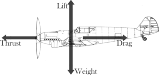 <span class="mw-page-title-main">Steady flight</span>