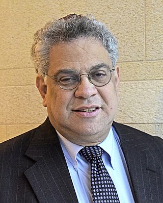 <span class="mw-page-title-main">Steve Rabinowitz</span> American political activist (born 1957)