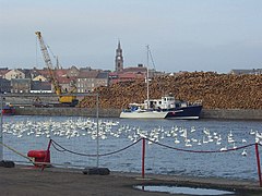 The Tweed Dock