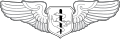 Flight Nurse Badge