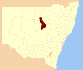 <span class="mw-page-title-main">Warren Shire</span> Local government area in New South Wales, Australia