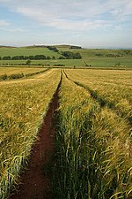 Thumbnail for History of agriculture in Scotland