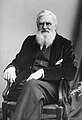 Q160627 Alfred Russel Wallace geboren op 8 januari 1823 overleden op 7 november 1913