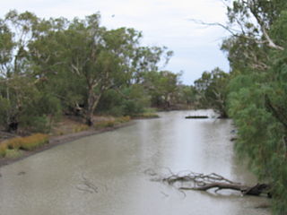 <span class="mw-page-title-main">Billabong Creek</span> River in Australia