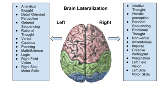 <span class="mw-page-title-main">Split-brain</span> Condition of the human brain