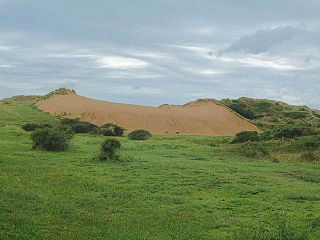 Braunton Burrows