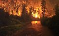 Image 29Elk Bath, an award-winning photograph of elk avoiding a wildfire in Montana (from Wildfire)