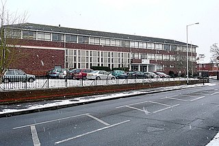 <span class="mw-page-title-main">Elvian School</span> Private school in Berkshire, England