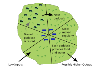 <span class="mw-page-title-main">Rotational grazing</span> System of grazing moving animals between paddocks around the year