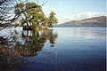 Green Island, Lough Gill, with Kilkenny Mountain in background