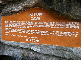 <span class="mw-page-title-main">Kitum Cave</span> Cave in Kenya