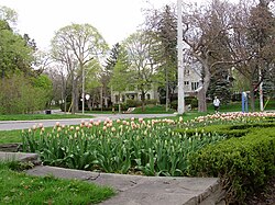 View of homes from Alexander Muir Gardens