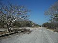 Misnebalam, Yucatán.