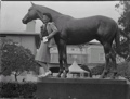 Statue de Seabiscuit sur l'hippodrome de Santa Anita en 1942