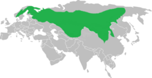 Siberian jay distribution.png