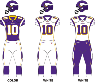 <span class="mw-page-title-main">2006 Minnesota Vikings season</span> NFL team season