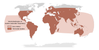 Distribución mundial aproximada das especies de cobras